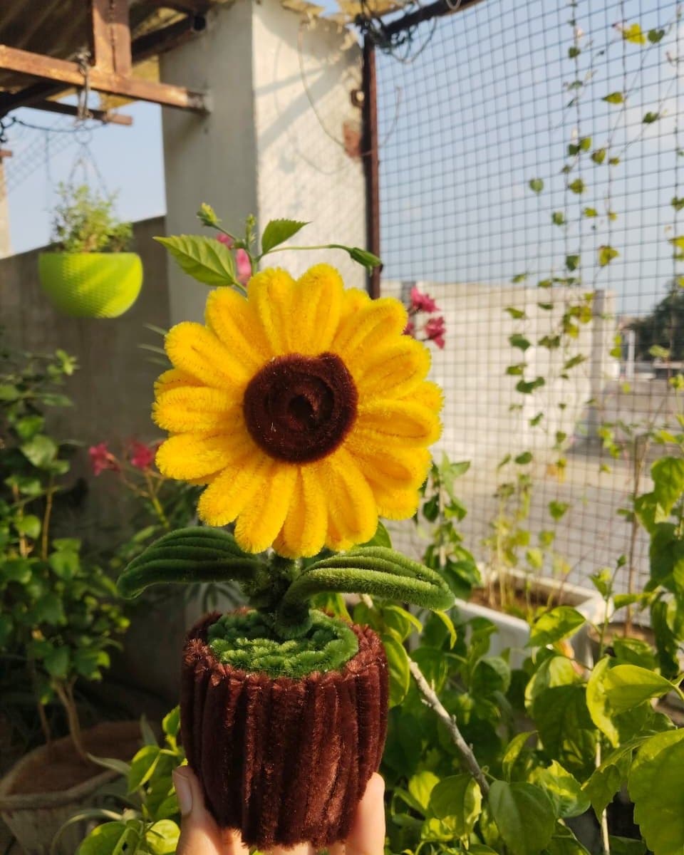 Pipe cleaner sunflower with two green leaves in a brown chenille pot, held up in a garden